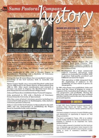 Our History – Sumo Wagyu